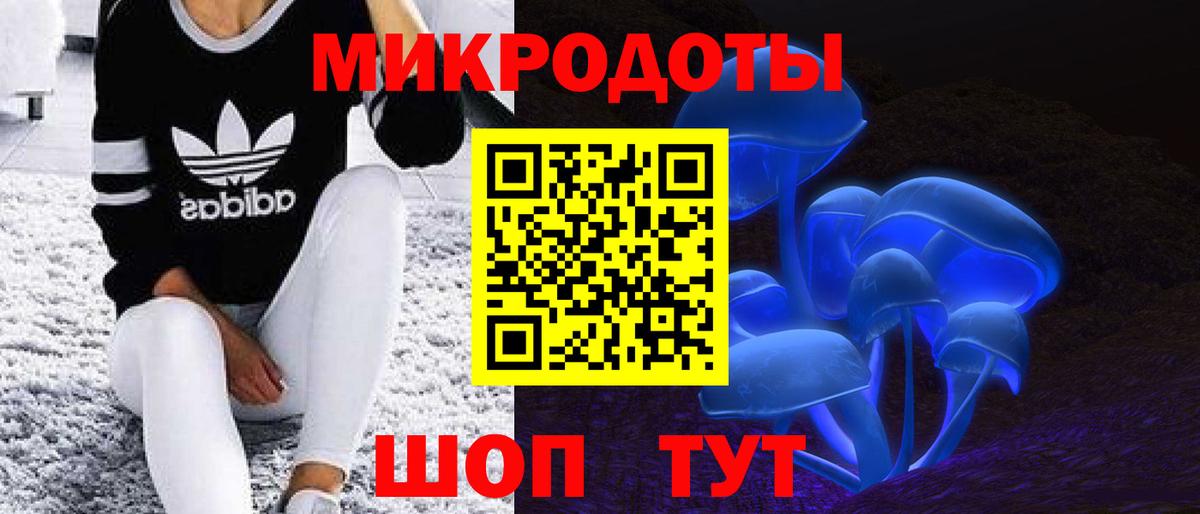 хочу   Вход с VPN  Дзержинск  Галлюциногенные грибы мухоморы  Галлюциногенные грибы мицелий 